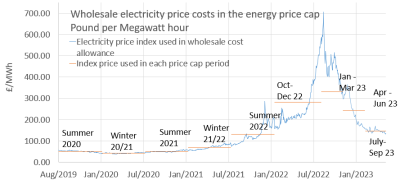 Wholesale electricity price costs in the energy price cap 