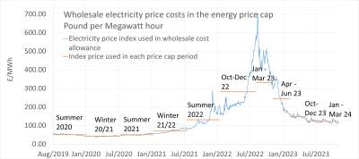 Wholesale electricity costs